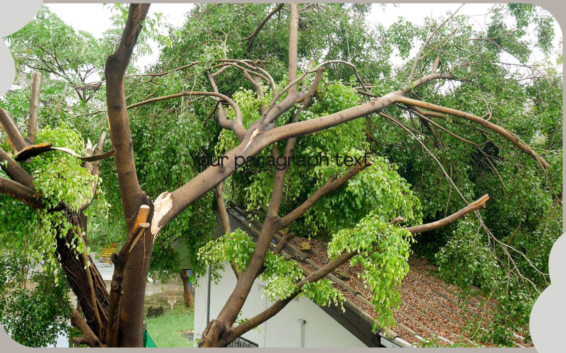 urimpathways tree lopping cropped